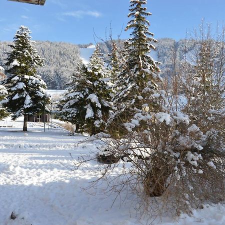 Villard De Lans Exterior foto